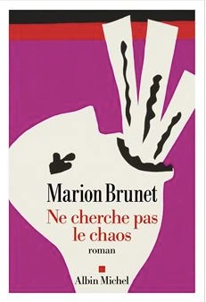 Ne cherche pas le chaos de Marion Brunet
